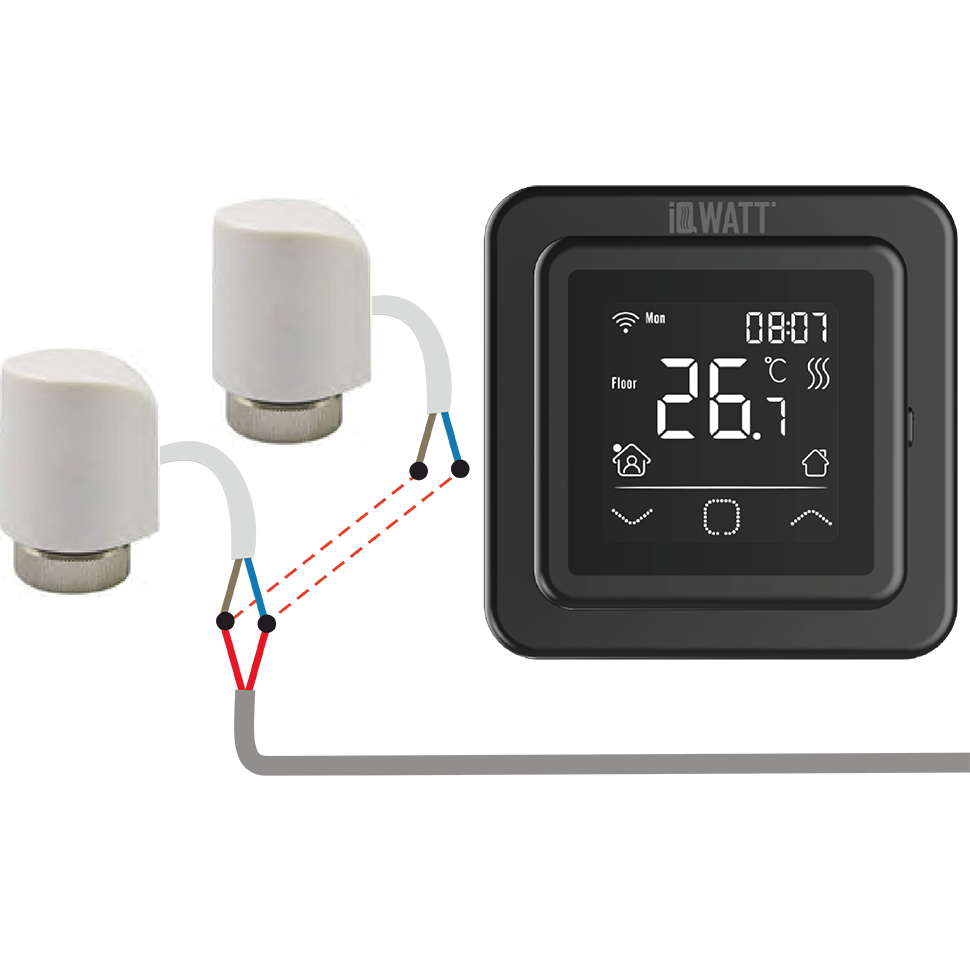 catalog-image